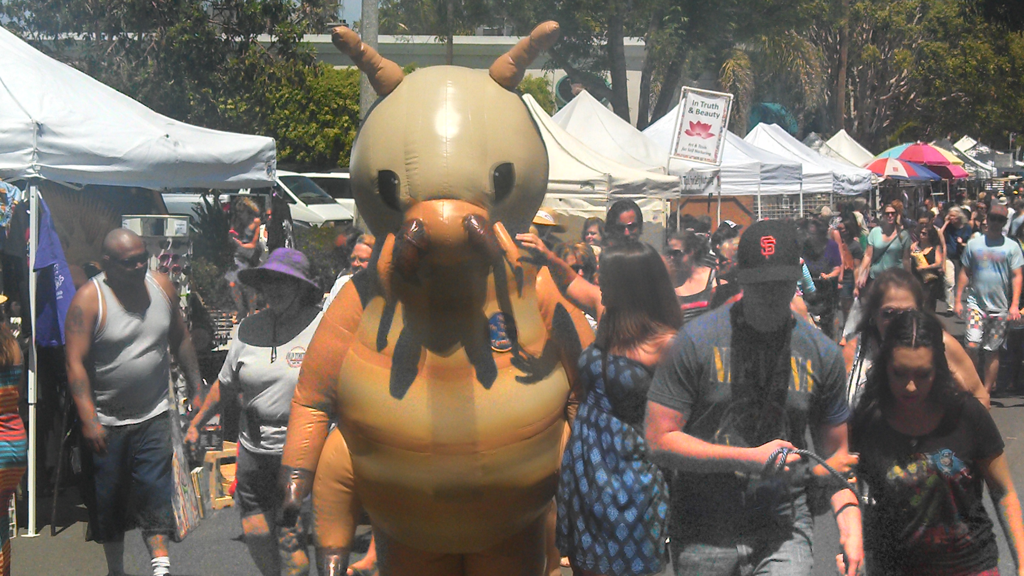 TTT 2014 Carlsbad St. Fair